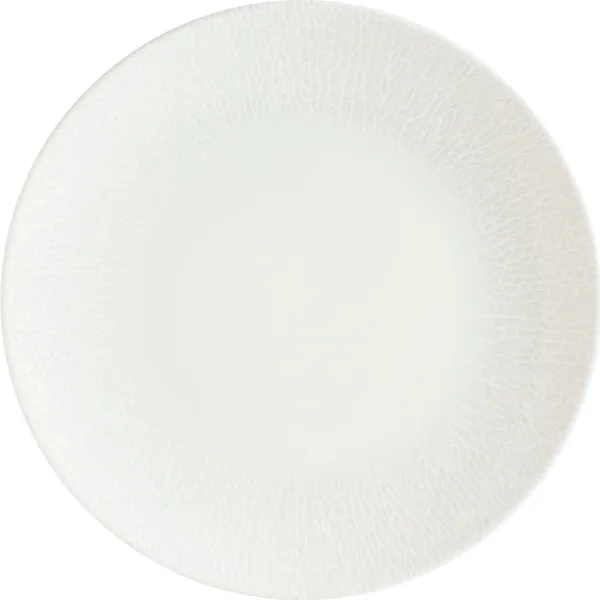 Radix Gourmet Coupe Plate 250mm