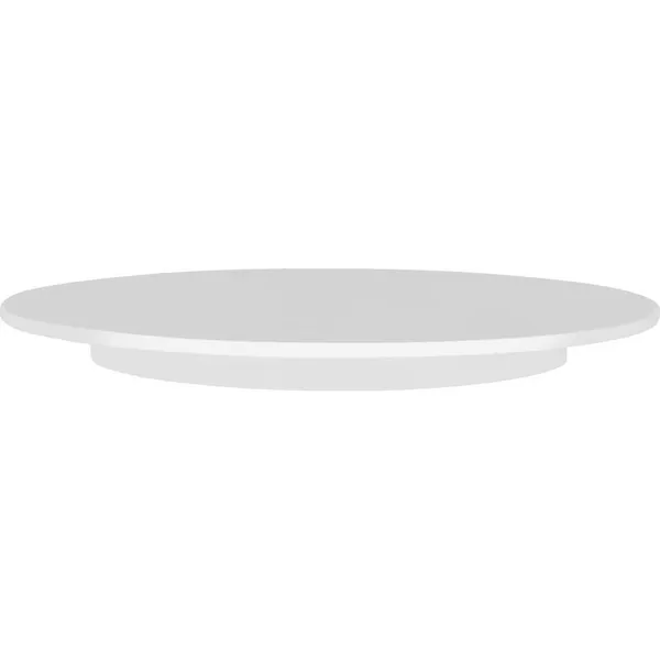 Cake Plate Plastic 300x25mm