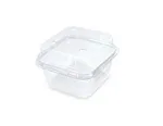 250g Punnet 110 X 100 X 77mm [pack 50 / 750]