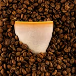 Auburn Cappuccino Cup 220ml