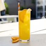 Colins Highball Polycarbonate  345ml