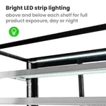 Bonvue Elite Cold Displays with 3 shelves - CL1200-3S view 5