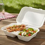 PakMax 9x6" Sugarcane Clamshell view 3