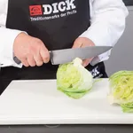 Dick Premier Plus Chef's Knife - 21cm 8" view 3