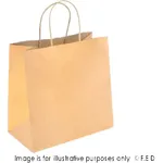 PakMax Small Twist Handle Kraft Paper Bags