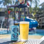 Essentials Highball Beer W&M Certified, Nucleated 570ml