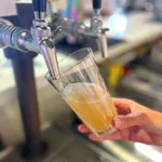 Essentials Highball Beer W&M Certified, Nucleated 360ml