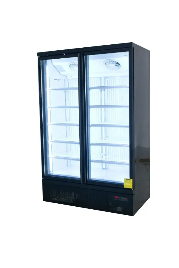 2 Door Freezer
