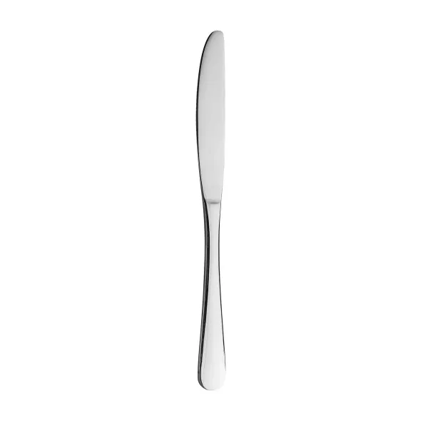 Sydney Table Knife - Solid Handle Stainless Steel 222mm