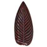 Costa Nova Riviera Strelizia Leaf 398mm Vigne (vea401-Vgn)