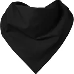 Neckerchief