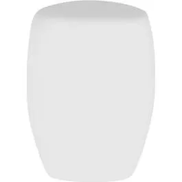 Royal Bone Ascot Salt Shaker (b1037)